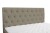 Calypso_louis664_3_fixed.jpg